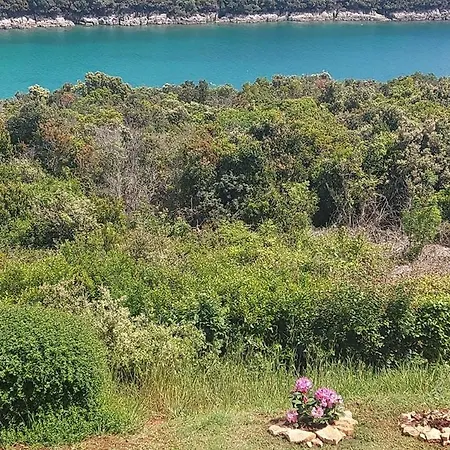 Jadranko With Sea View Apartment Pavicini